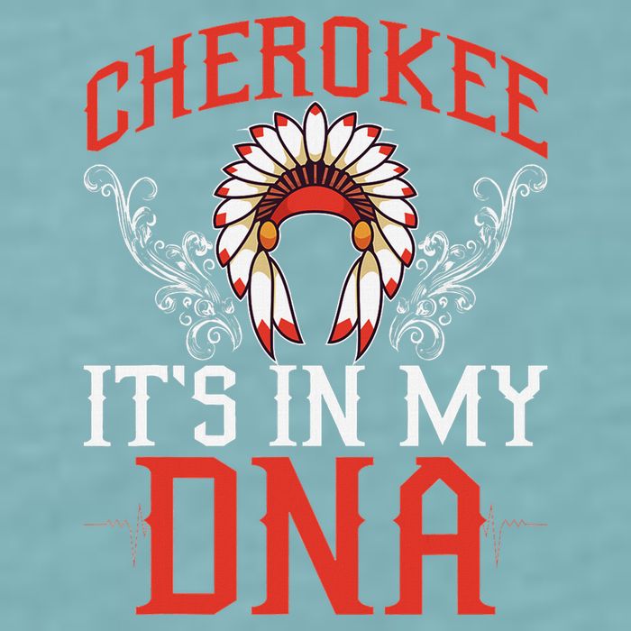Cherokee My Dna Native Americans Design Sueded Cloud Jersey T-Shirt