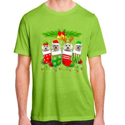 Cute Maltese Dog In Sock Christmas Santa Xmas Dog Gift Adult ChromaSoft Performance T-Shirt