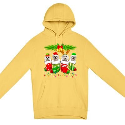 Cute Maltese Dog In Sock Christmas Santa Xmas Dog Gift Premium Pullover Hoodie