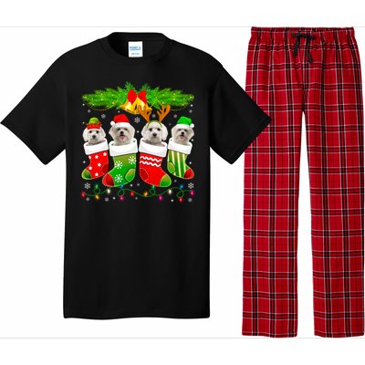 Cute Maltese Dog In Sock Christmas Santa Xmas Dog Gift Pajama Set