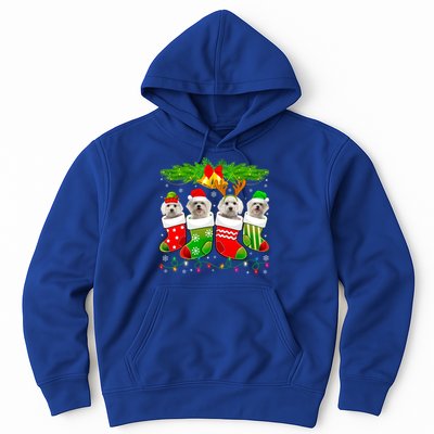 Cute Maltese Dog In Sock Christmas Santa Xmas Dog Gift Hoodie