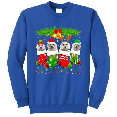 Cute Maltese Dog In Sock Christmas Santa Xmas Dog Gift Sweatshirt