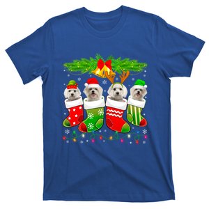 Cute Maltese Dog In Sock Christmas Santa Xmas Dog Gift T-Shirt