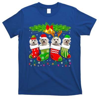 Cute Maltese Dog In Sock Christmas Santa Xmas Dog Gift T-Shirt