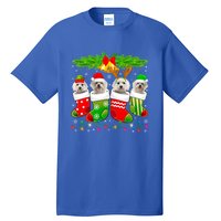 Cute Maltese Dog In Sock Christmas Santa Xmas Dog Gift Tall T-Shirt