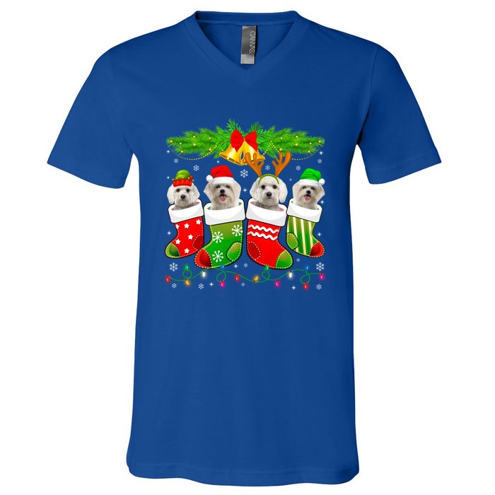 Cute Maltese Dog In Sock Christmas Santa Xmas Dog Gift V-Neck T-Shirt