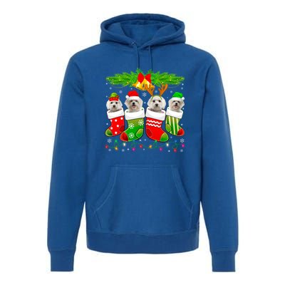 Cute Maltese Dog In Sock Christmas Santa Xmas Dog Gift Premium Hoodie