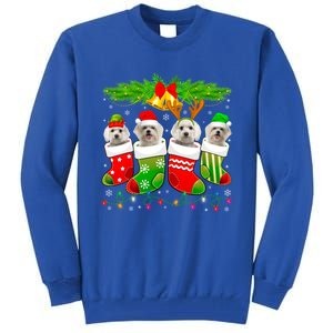 Cute Maltese Dog In Sock Christmas Santa Xmas Dog Gift Tall Sweatshirt