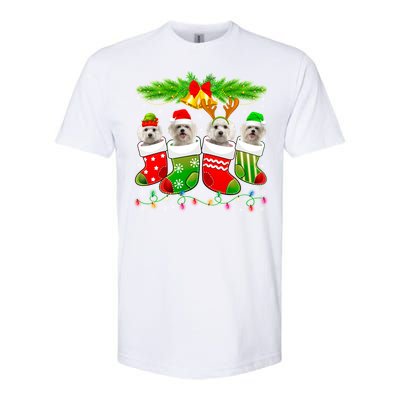 Cute Maltese Dog In Sock Christmas Santa Xmas Dog Gift Softstyle CVC T-Shirt