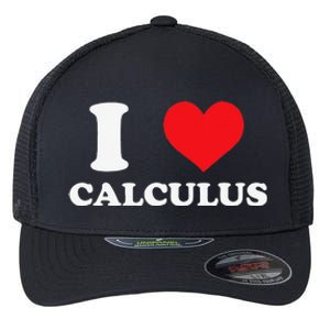 Calculus Mathematics Equation Calculations I Love Calculus Flexfit Unipanel Trucker Cap