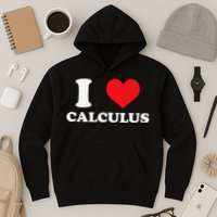 Calculus Mathematics Equation Calculations I Love Calculus Hoodie