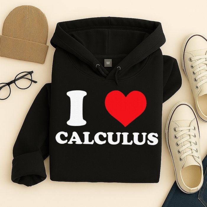 Calculus Mathematics Equation Calculations I Love Calculus Hoodie
