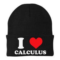 Calculus Mathematics Equation Calculations I Love Calculus Beanie