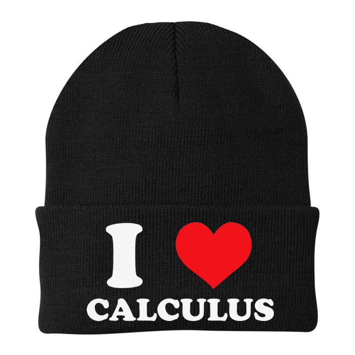 Calculus Mathematics Equation Calculations I Love Calculus Beanie