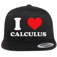 Calculus Mathematics Equation Calculations I Love Calculus Flat Bill Trucker Hat