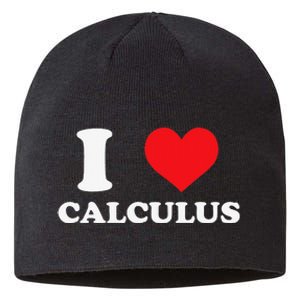 Calculus Mathematics Equation Calculations I Love Calculus Sustainable Beanie