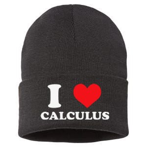 Calculus Mathematics Equation Calculations I Love Calculus Sustainable Knit Beanie