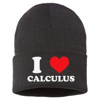 Calculus Mathematics Equation Calculations I Love Calculus Sustainable Knit Beanie