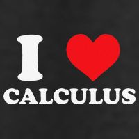 Calculus Mathematics Equation Calculations I Love Calculus 25L Jumbo Tote
