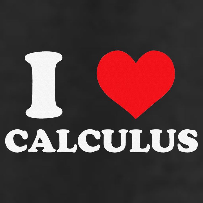 Calculus Mathematics Equation Calculations I Love Calculus 25L Jumbo Tote