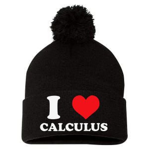 Calculus Mathematics Equation Calculations I Love Calculus Pom Pom 12in Knit Beanie