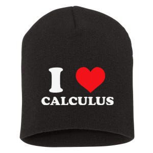 Calculus Mathematics Equation Calculations I Love Calculus Short Acrylic Beanie