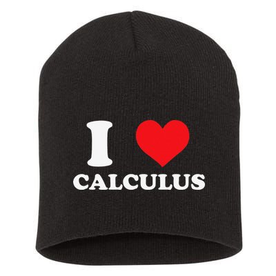 Calculus Mathematics Equation Calculations I Love Calculus Short Acrylic Beanie