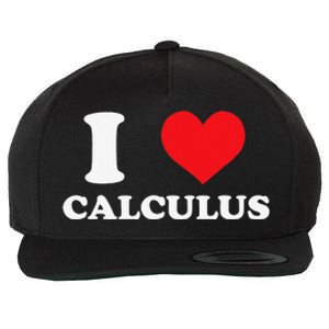 Calculus Mathematics Equation Calculations I Love Calculus Wool Snapback Cap