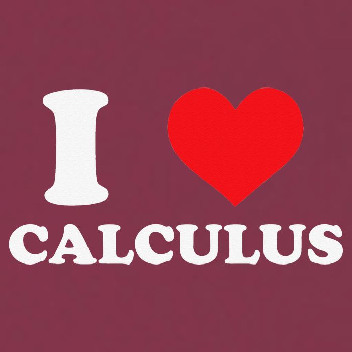 Calculus Mathematics Equation Calculations I Love Calculus 16oz Travel Tumbler