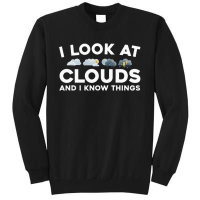 Cool Meteorologist For Men Women Kids Weather Forecasting Sweatshirt