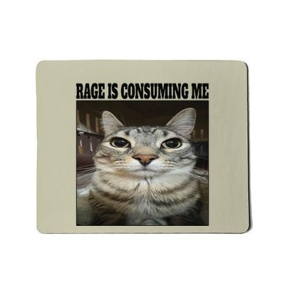 Cat Meme Funny Memes Internet Memes Humorous Joke Mousepad