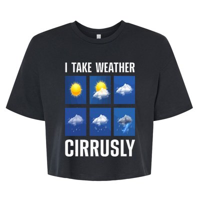 Cute Meteorologist For Weather Meteorology Report Bella+Canvas Jersey Crop Tee