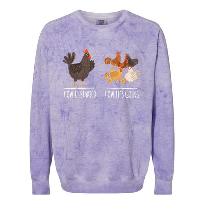 Chicken Meme Farm Hen Pun For Chicken Lovers Colorblast Crewneck Sweatshirt