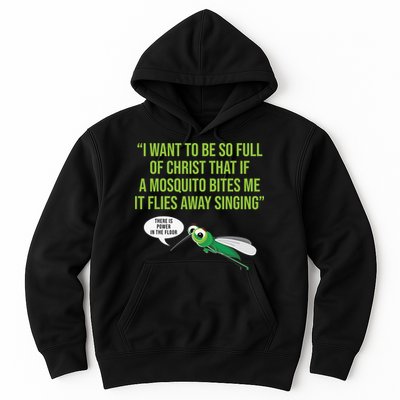 Christian Mosquito Funny Gag Jokes Religious Christian  Hoodie