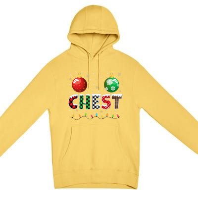 Chestnuts Matching Family Funny Chest Nuts Christmas Couples Premium Pullover Hoodie