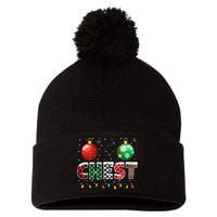 Chestnuts Matching Family Funny Chest Nuts Christmas Couples Pom Pom 12in Knit Beanie