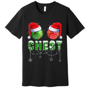 Chestnuts Matching Family Funny Chestnuts Christmas Couples Premium T-Shirt