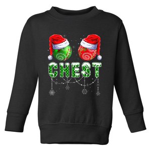 Chestnuts Matching Family Funny Chestnuts Christmas Couples Toddler Sweatshirt