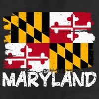 Cool Maryland Flag Adult Drive Performance Visor