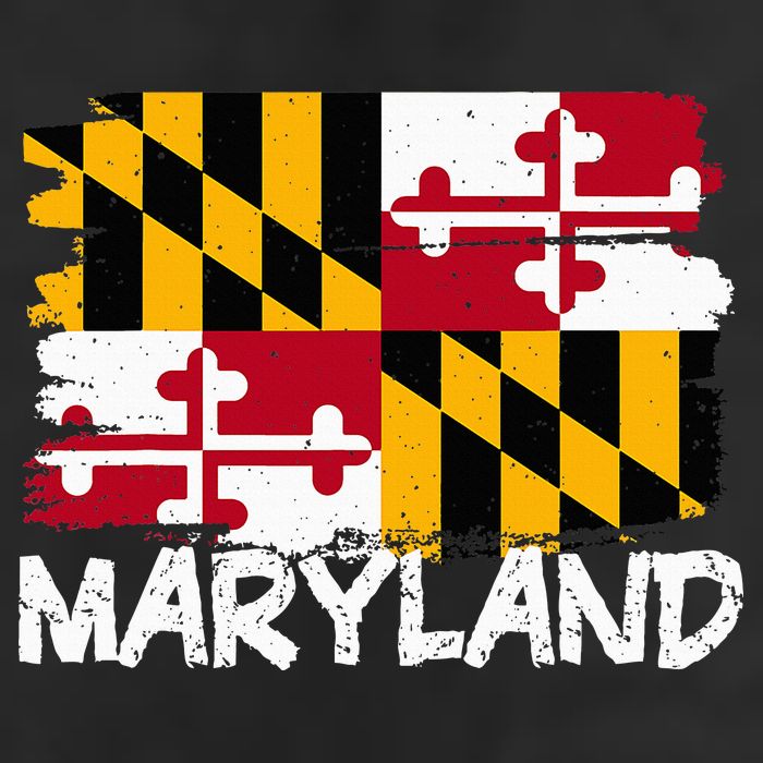 Cool Maryland Flag Adult Drive Performance Visor