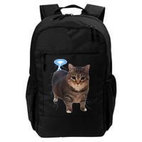 Cat Meme Funny Memes Internet Memes Oddly Specific Memes Daily Commute Backpack