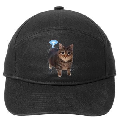Cat Meme Funny Memes Internet Memes Oddly Specific Memes 7-Panel Snapback Hat