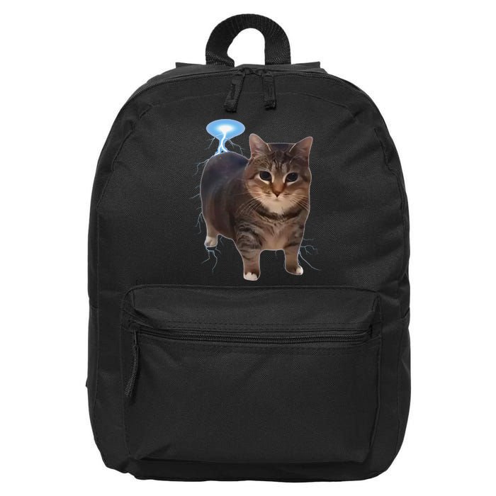 Cat Meme Funny Memes Internet Memes Oddly Specific Memes 16 in Basic Backpack