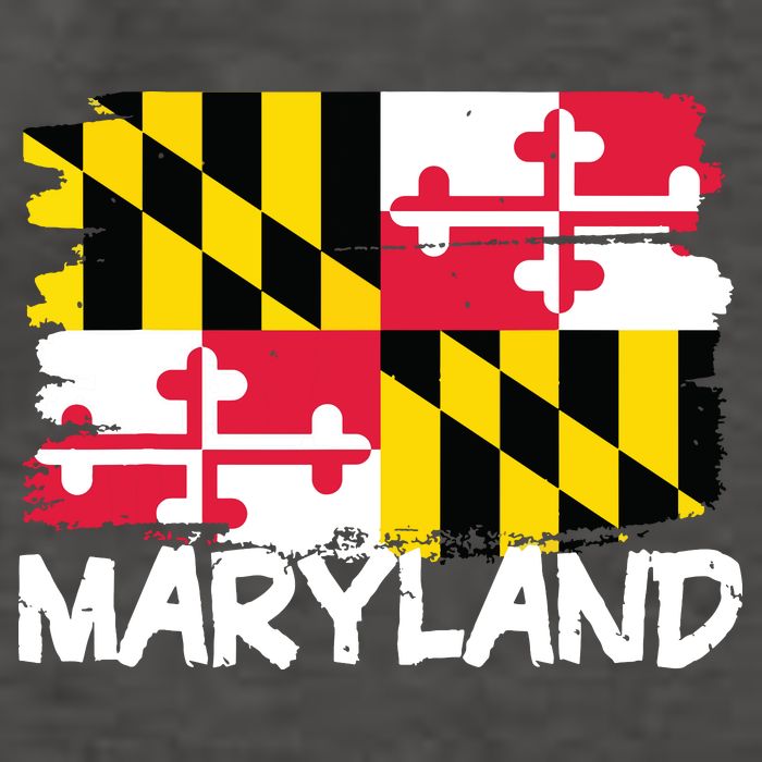 Cool Maryland Flag Vector Backpack