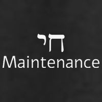 Chai Maintenance Hebrew Jewish Cool Valentine's Day Passover 7 Panel Mesh Trucker Snapback Hat