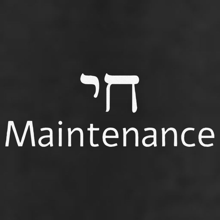 Chai Maintenance Hebrew Jewish Cool Valentine's Day Passover 7 Panel Mesh Trucker Snapback Hat