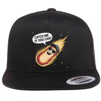 Catch Me If You Can Funny Astronomy Meteor Flat Bill Trucker Hat