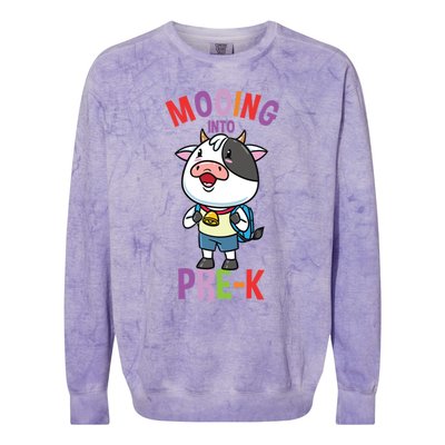 Cow Mooing Into Prek Great Gift Colorblast Crewneck Sweatshirt