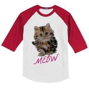 Cat Meow Kitty Funny Cats Mom And Cat Dad Gift Kids Colorblock Raglan Jersey