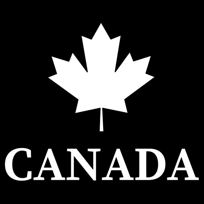 Canada Maple Leaf Canadian Flag City Backpack